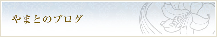 やまとのブログ