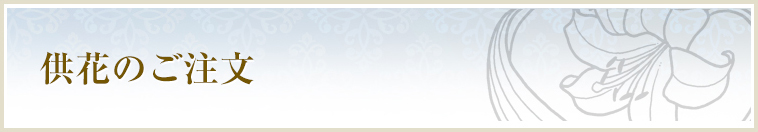 プライバシーポリシー